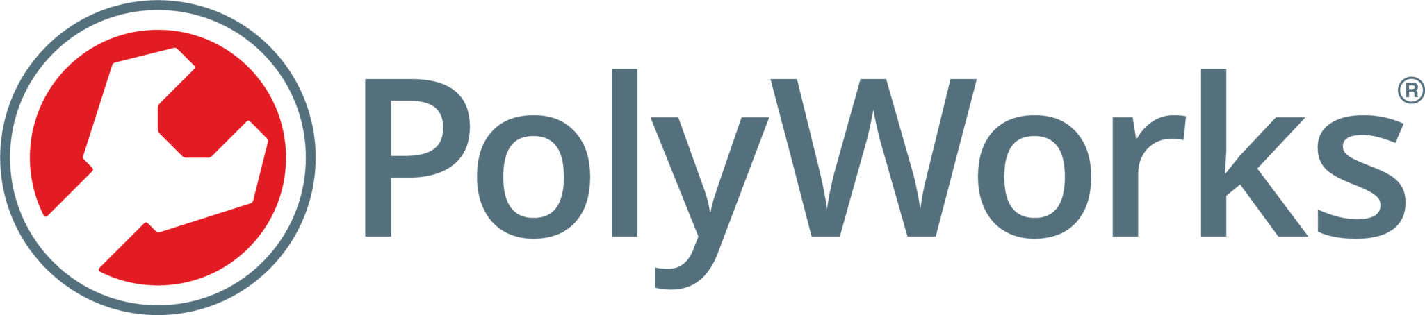 Software 5 Polyworks